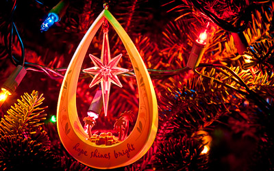 A Gift Half Understood: The Incarnation